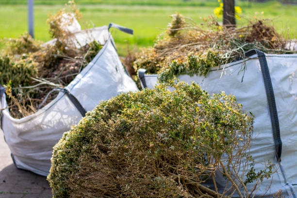 Best Affordable Junk Removal Services  in Memphis, TN